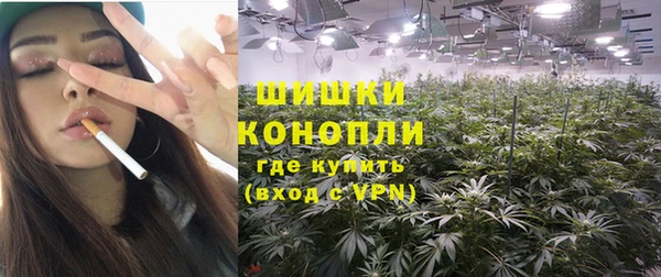 спайс Богданович