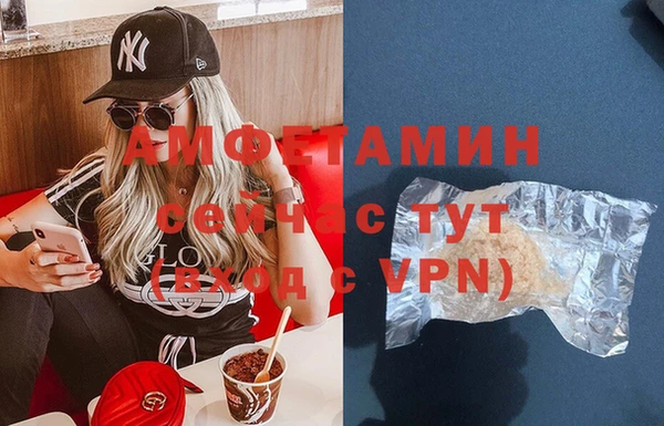 гидра Струнино