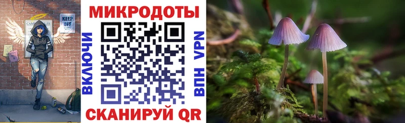 Псилоцибиновые грибы GOLDEN TEACHER  Армавир 