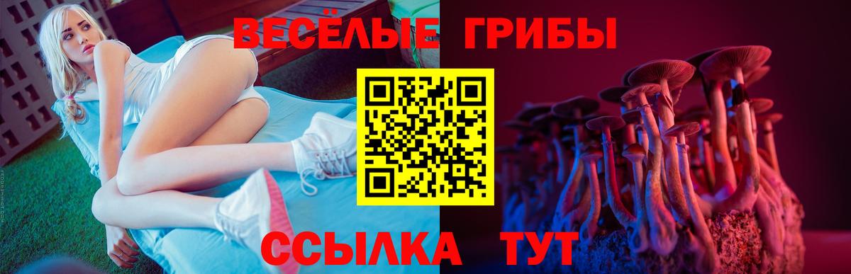 Армавир  Галлюциногенные грибы ЛСД  Вход с VPN  Псилоцибиновые грибы Psilocybine cubensis 